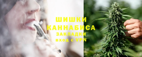 стафф Козельск