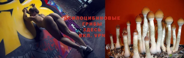 ПСИЛОЦИБИНОВЫЕ ГРИБЫ Костерёво
