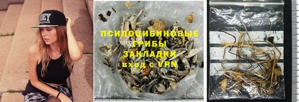 ПСИЛОЦИБИНОВЫЕ ГРИБЫ Костерёво