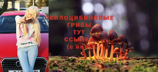 мдпв Коряжма